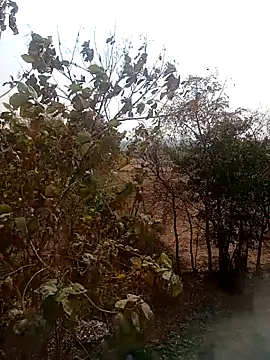 DesiPlayboy09 online show from 02-22-26, 08:24