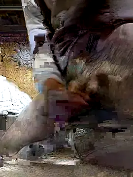 ifuckforreal online show from 02-06-26, 05:16