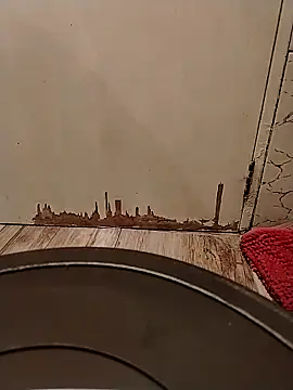 Gorditacarlota online show from 02-01-26, 05:00