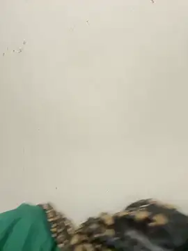 Snapshot of diosa_sofia19 chatting on 04-06-26, 02:31 diosa sofia19 online show from 04-06-26, 02:31