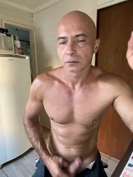 dogfrota online show from 02-09-26, 09:19