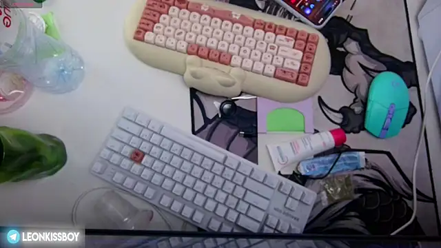 LeonBoykisser online show from 06-14-26, 10:06