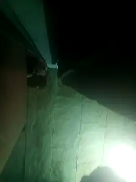 priyasharma899 online show from 03-13-26, 12:06