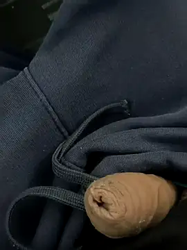 Snapshot of VashTheStampede96 chatting on 02-25-26, 02:37 VashTheStampede96 online show from 02-25-26, 02:37