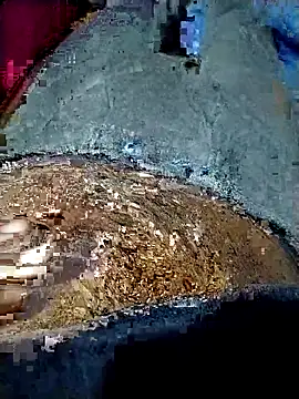 xx couple online show from 01-19-26, 04:11