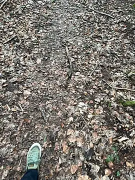 tony3729 online show from 02-28-26, 11:22