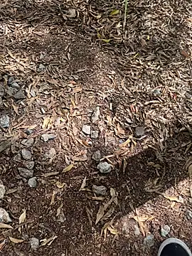 tyd247 online show from 02-22-26, 11:36