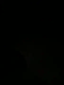 tyd247 online show from 03-28-26, 03:11