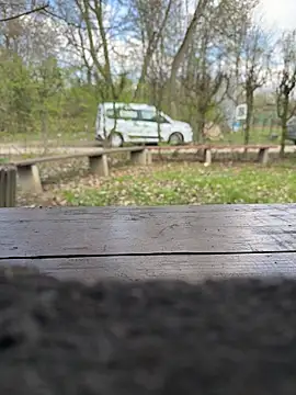 FrankdieSchwuchtel online show from 03-21-26, 12:10