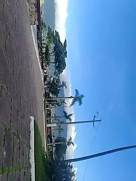 Snapshot of Gustavo52367 chatting on 02-20-26, 07:36 Gustavo52367 online show from 02-20-26, 07:36