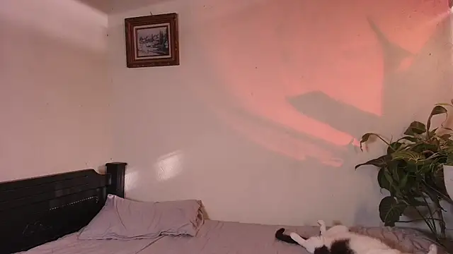 slowburnmystic online show from 06-11-26, 09:46