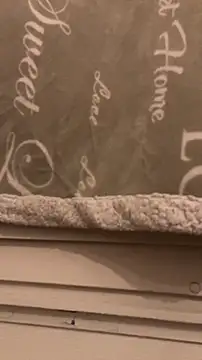 Snapshot of BadyAndShay5 chatting on 03-22-26, 10:46 BadyAndShay5 online show from 03-22-26, 10:46