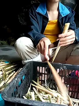 Hayaya11 online show from 03-17-26, 09:45