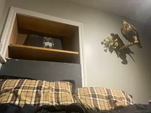 yourwhiteboy1 online show from 03-01-26, 03:08