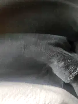 3D-telugu online show from 03-19-26, 06:06