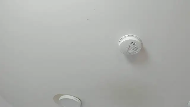 Maddie Rosee online show from 03-14-26, 03:34