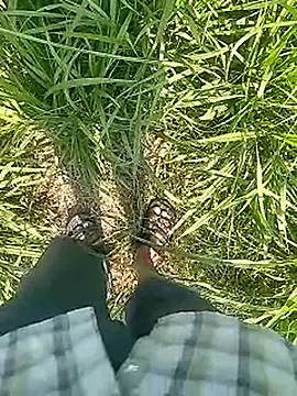 Snapshot of Cute_Boy_4 chatting on 02-22-26, 05:30 Cute Boy 4 online show from 02-22-26, 05:30