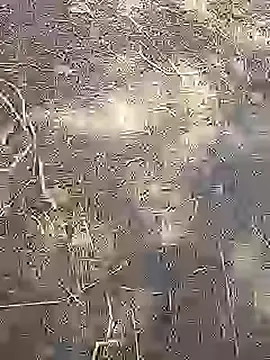 Snapshot of Cute_Boy_4 chatting on 03-14-26, 08:42 Cute Boy 4 online show from 03-14-26, 08:42