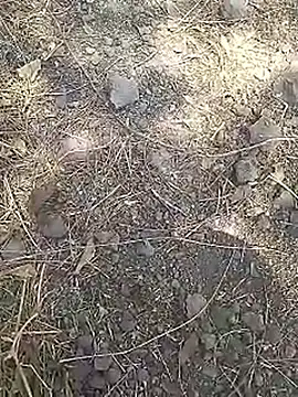 Snapshot of Cute_Boy_4 chatting on 03-15-26, 08:09 Cute Boy 4 online show from 03-15-26, 08:09