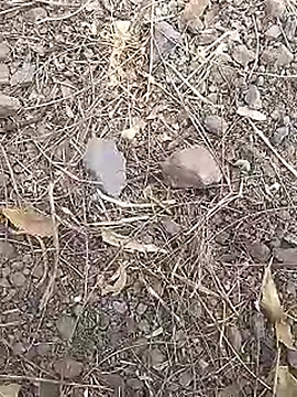 Snapshot of Cute_Boy_4 chatting on 03-19-26, 07:45 Cute Boy 4 online show from 03-19-26, 07:45