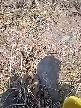 Snapshot of Cute_Boy_4 chatting on 03-20-26, 10:09 Cute Boy 4 online show from 03-20-26, 10:09