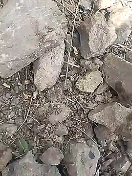 Snapshot of Cute_Boy_4 chatting on 03-30-26, 06:47 Cute Boy 4 online show from 03-30-26, 06:47