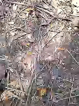 Cute Boy 4 online show from 05-13-26, 08:12