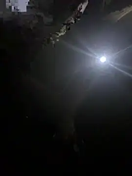 makemestayhard online show from 03-06-26, 04:53