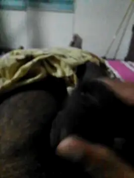 FlatBlackboard online show from 02-22-26, 05:44