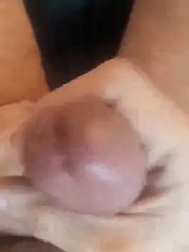 Der Tom 20 online show from 02-06-26, 12:08