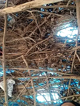 Snapshot of Rajni248096 chatting on 03-12-26, 07:58 Rajni248096 online show from 03-12-26, 07:58