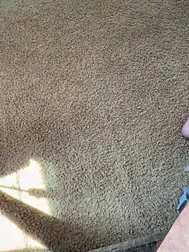 bwcjay2026 online show from 03-16-26, 06:34