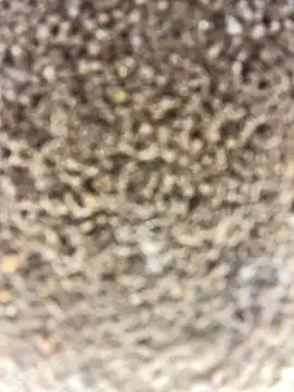 Namipeitudinha online show from 02-16-26, 04:58