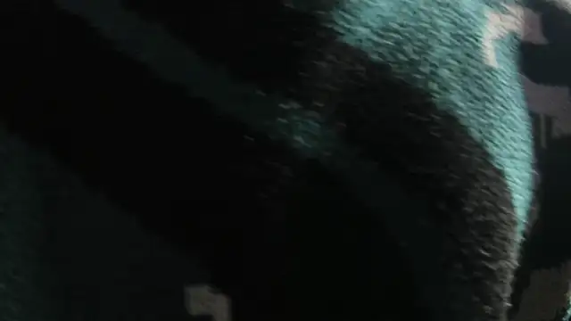 Christopher Hunter online show from 03-22-26, 04:27