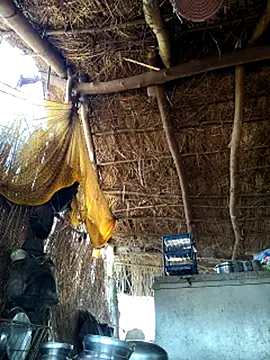 Hotty raghni online show from 03-09-26, 03:21