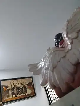 joanmanci1046 online show from 02-03-26, 12:54