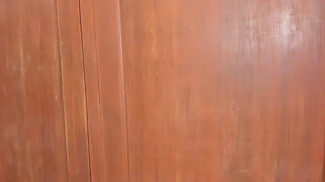 Sophiia88 online show from 02-18-26, 12:01