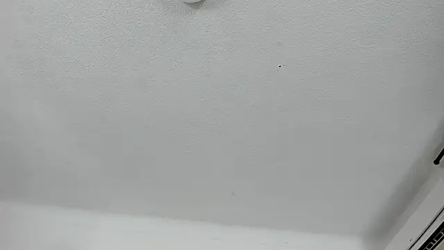 Nico Hillx online show from 02-13-26, 11:01