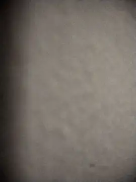 nicol5555 online show from 02-09-26, 10:47