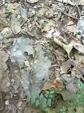 Snapshot of kalai_32 chatting on 02-04-26, 06:19 kalai 32 online show from 02-04-26, 06:19