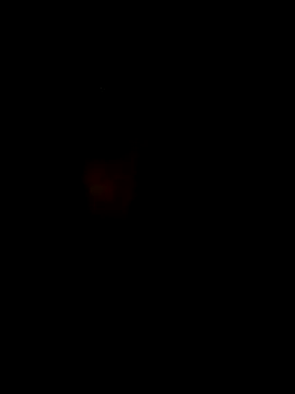 S7LEALTADPERVLIMA7 online show from 04-12-26, 05:01