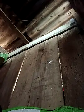 Small flower1 online show from 02-10-26, 02:04