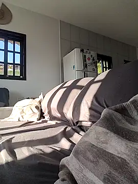 safadoo31 online show from 05-05-26, 11:07