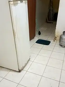 xxxdoidinhaxxx online show from 02-05-26, 03:16