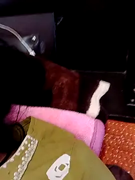 Rajkumari hot qwwen online show from 02-12-26, 08:53