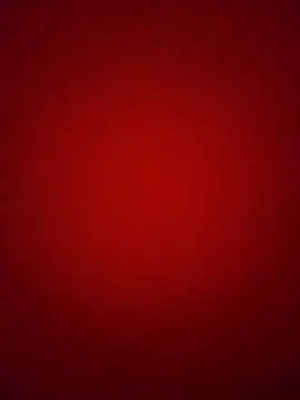 Pelloz online show from 02-04-26, 09:37