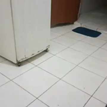 xxxxbucetinhaxxxx online show from 02-03-26, 08:36