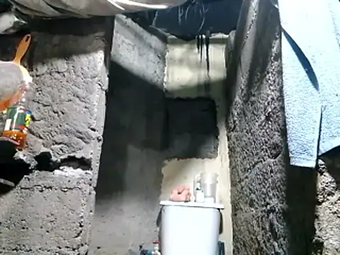 polla large active online show from 04-11-26, 12:26