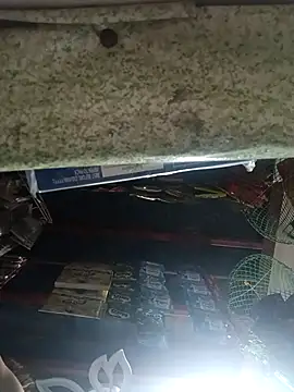 Wildcam21 online show from 03-17-26, 05:44