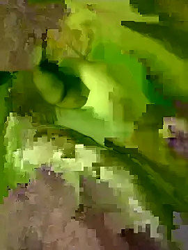 kabylian15 online show from 03-31-26, 02:39